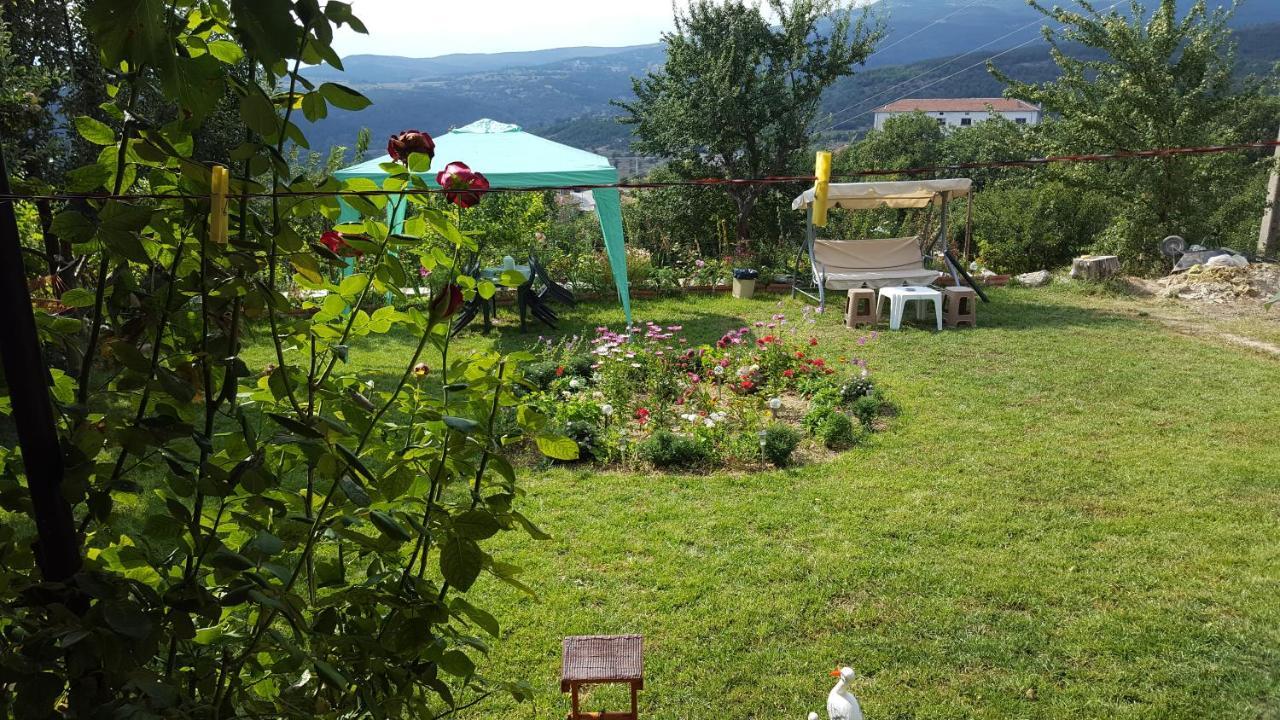 Guest House Agush Kribul Extérieur photo