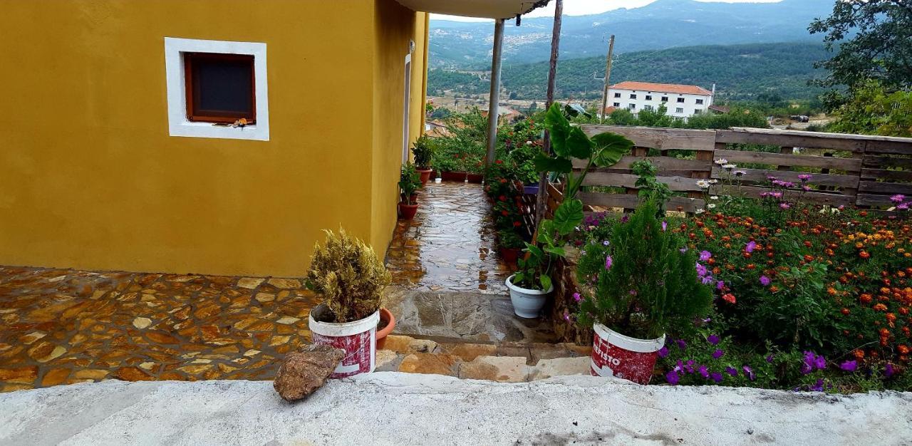 Guest House Agush Kribul Extérieur photo