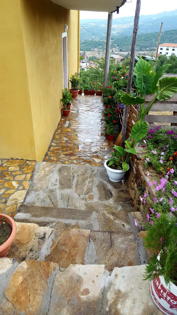 Guest House Agush Kribul Extérieur photo